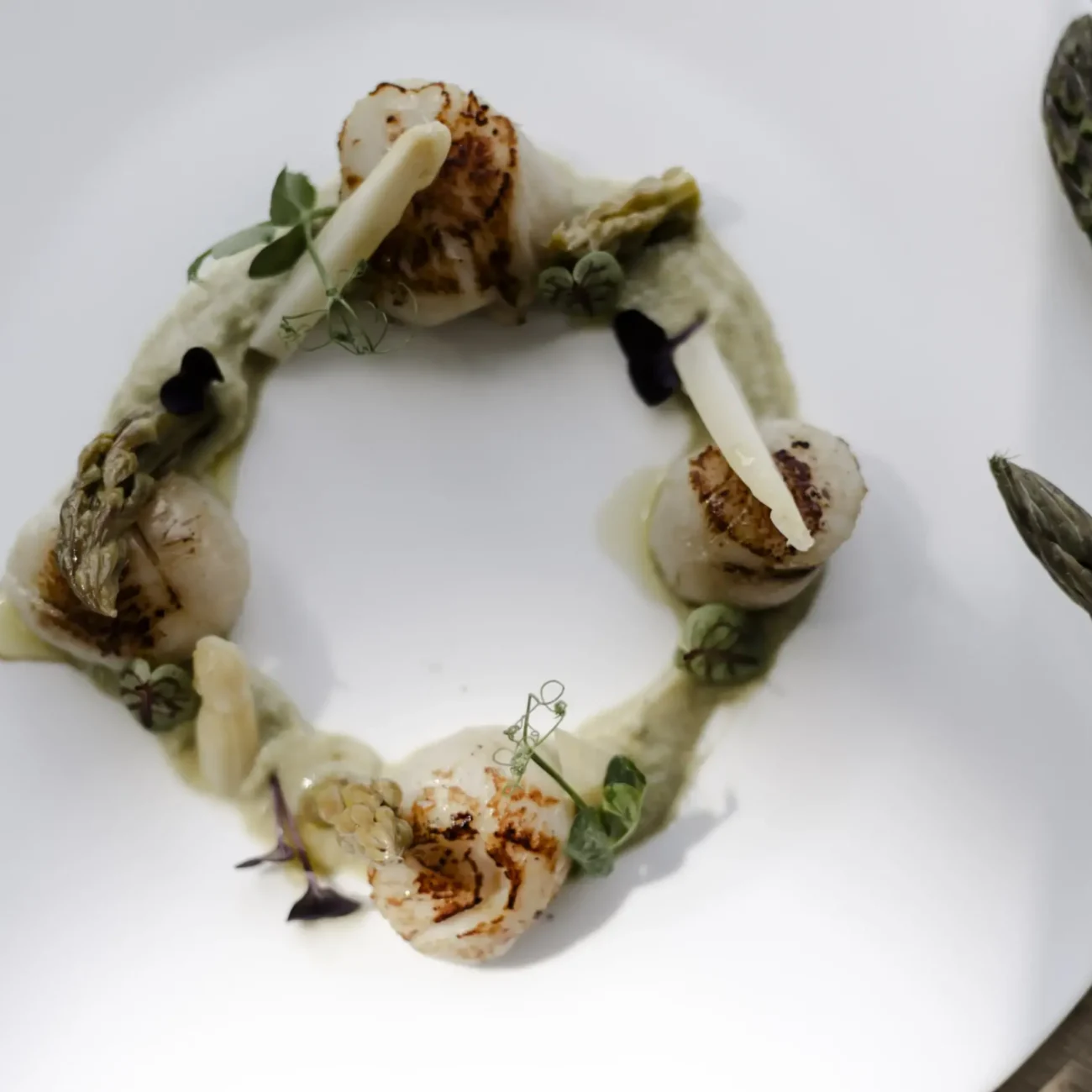 Ristorante-Pesce-Mirano-Eg&ograve;